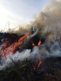 Fire in forest against cloudy sky