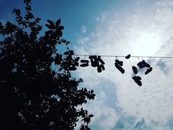 Low angle view of silhouette shoes hanging on tree against sky
