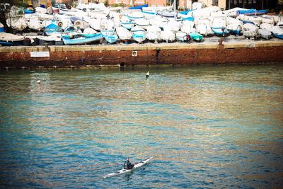 High angle view of seagulls on lake