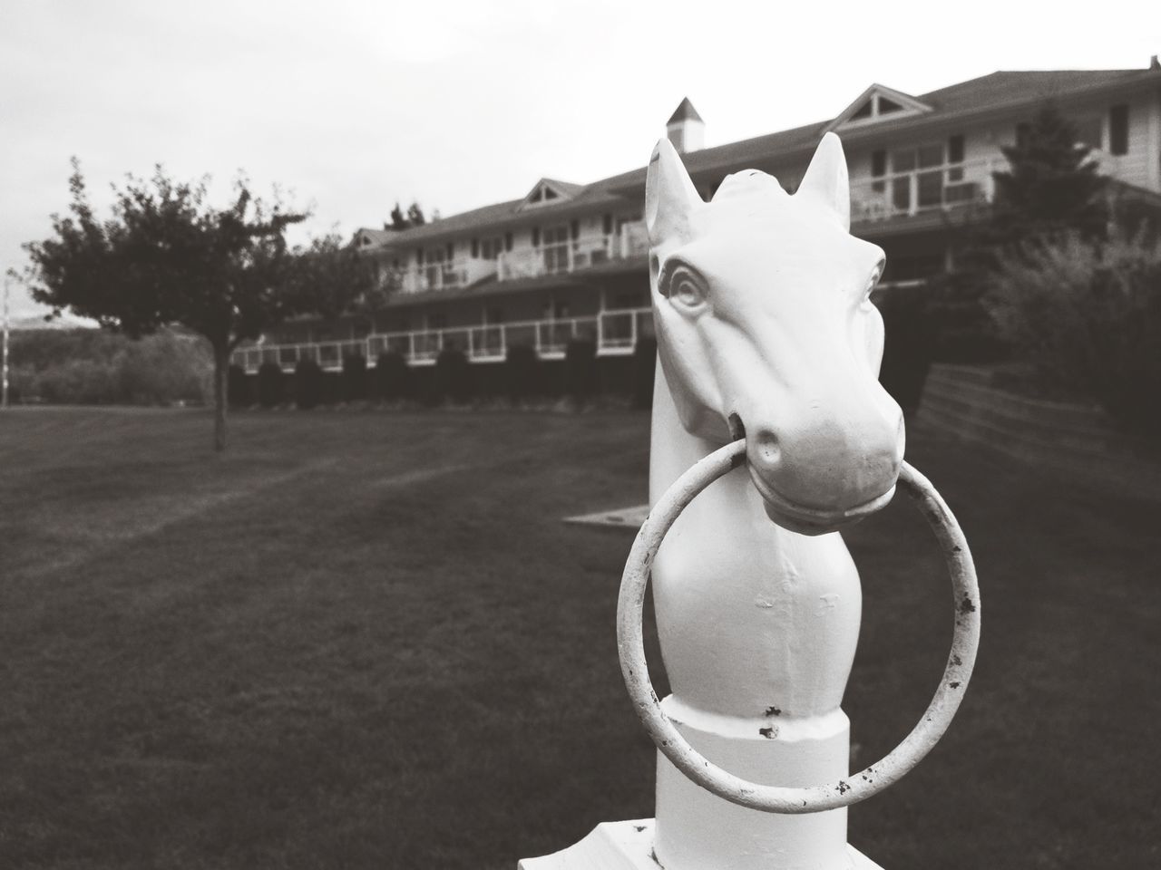 statue, sculpture, architecture, built structure, building exterior, art and craft, art, human representation, creativity, animal representation, tree, day, outdoors, no people, horse, sunlight, clear sky, sky, grass