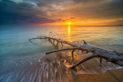 Scenic view of sea during sunset