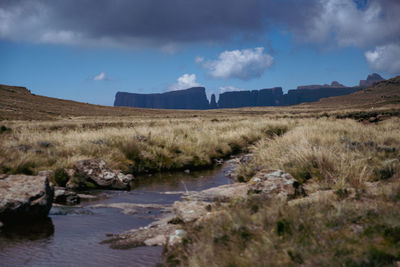 Scenic view of landscape against sky