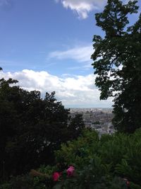 Trees on landscape against sky