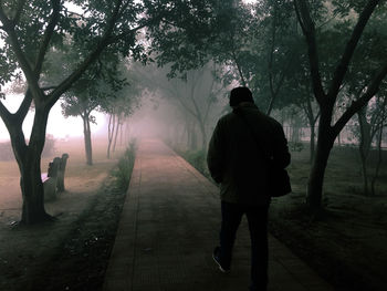 Rear view of man walking on footpath amidst trees