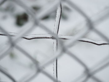 Close-up of snow on metal during winter