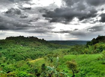 Scenic view of green landscape against sky