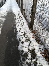 Snow covered trees in winter