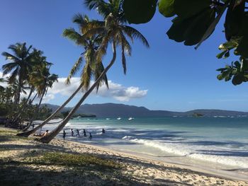 View of beach against blue sky