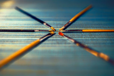 Close-up of leaf on table