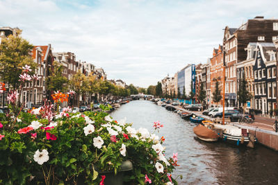 Canal amidst buildings in city against sky