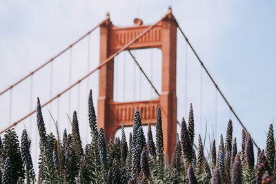 Low angle view of bridge against sky