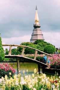 View of flowering plants by bridge against cloudy sky