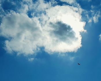 Low angle view of bird flying against sky