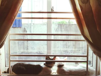 View of through window