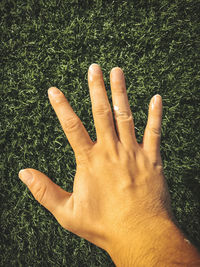 Close-up of hand on grass