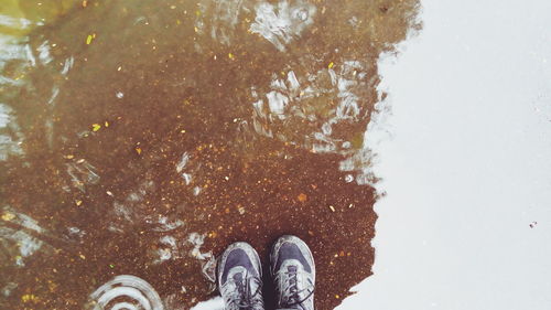 Low section of person standing on puddle