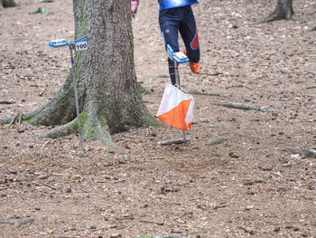 Heavy run in forest. orienteering marker and orange white box outdoor in a forest. popular sport