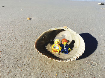 High angle view of a bird on beach
