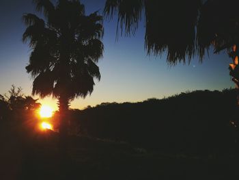 Silhouette trees against clear sky during sunset