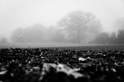 Scenic view of landscape against sky during foggy weather