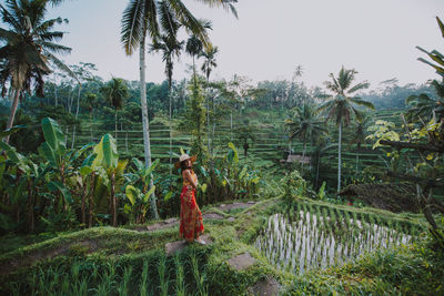 Young woman at rice terrace