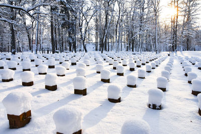 Panoramic view of people on snow covered land