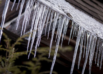 Close-up of icicles on roof