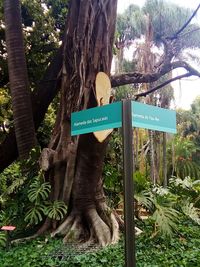 Road sign by tree