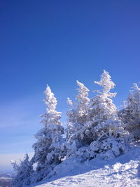 Ski the beautiful mount orford in quebec.