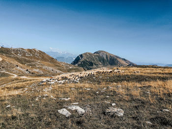 Scenic view of mountains against clear blue sky