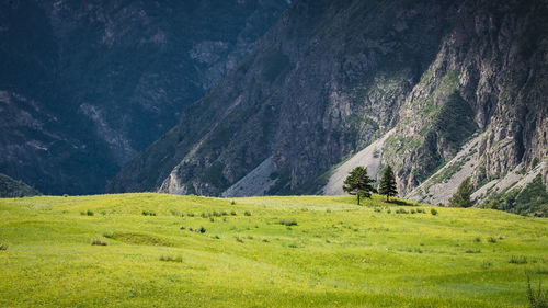 Scenic view of green landscape and mountains against sky