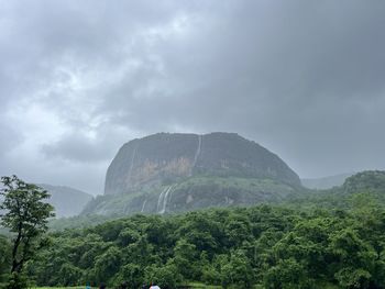 environment