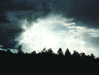 Silhouette trees against sky