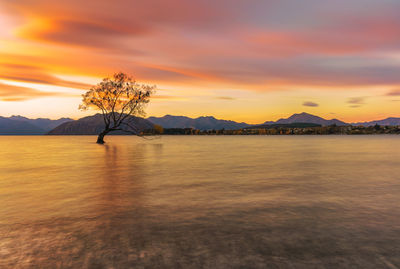 Scenic view of lake against sky during sunset