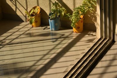 Potted plants on tiled floor by window