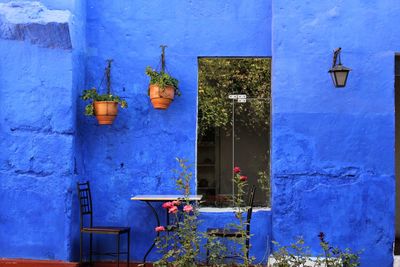 Flowers hanging on wall