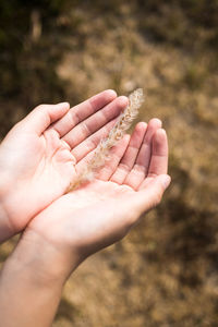 Close-up of hand holding leaf