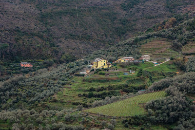 High angle view of townscape