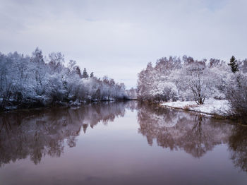 Reflection of trees in lake against sky