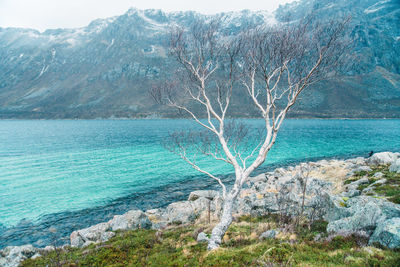 Scenic view of sea by mountain against sky