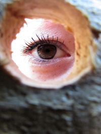 Close-up portrait of human eye