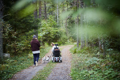 Rear view of young male caretaker with disabled woman and dog in forest