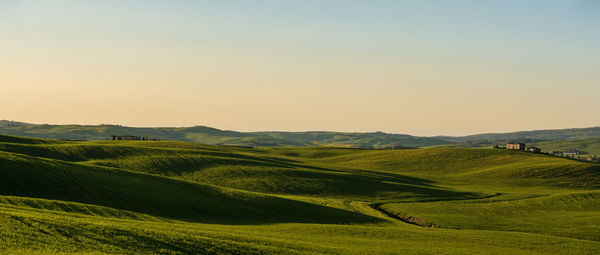 Scenic view of landscape against clear sky