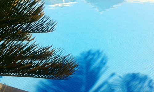 Close-up of swimming pool against blue sky