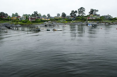 Reflection of trees in water