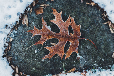 Close-up of snow
