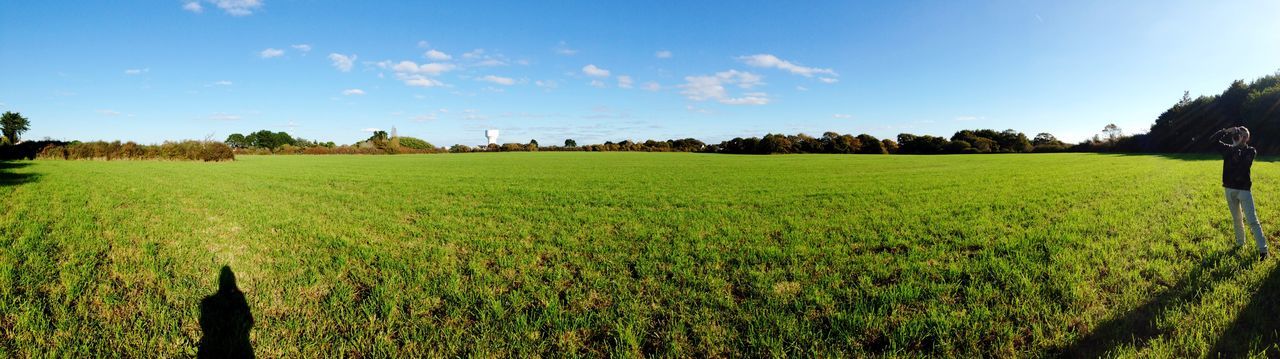 grass, field, landscape, green color, tranquility, sky, tranquil scene, growth, beauty in nature, scenics, grassy, nature, tree, rural scene, agriculture, sunlight, green, plant, outdoors, idyllic