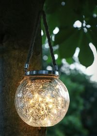 Low angle view of illuminated light bulb hanging from tree