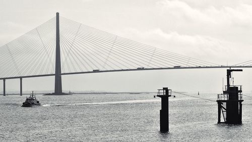 View of tree against sky
