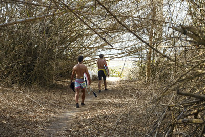 Men with surfboards walking in bamboo forest